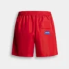 Badshorts Maxi Logo Badshorts Maxi Logo